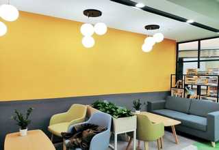 湖北网红藻蓝酸奶粉批发