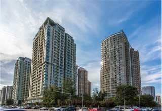 衡阳大小型犬粮狗粮零食营养品价格是多少