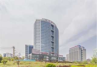 淄博新小米价格