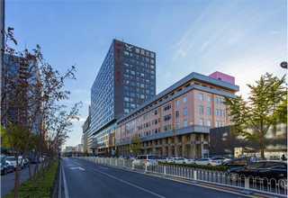 项链整车物流 报告