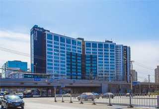 刺桐蝴蝶兰多少钱